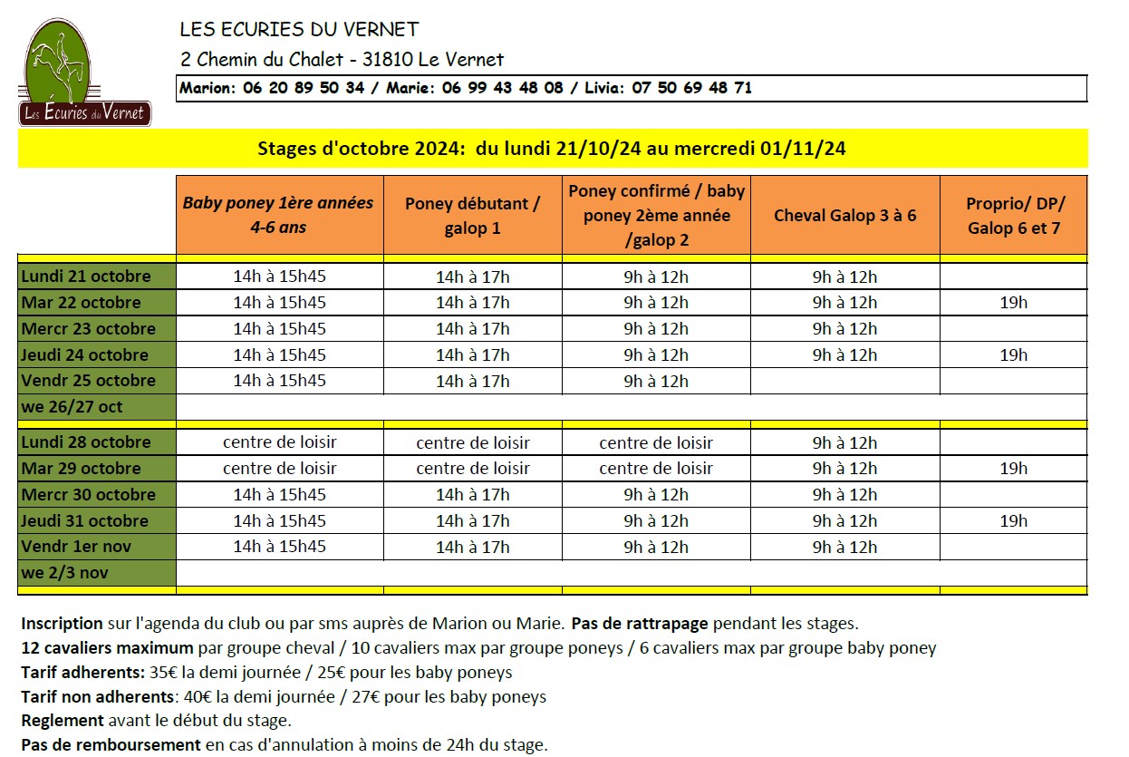 stage octobre 2024